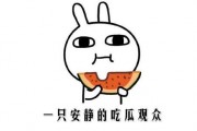 网络吃瓜啥意思是什么,揭秘虚拟世界中的围观文化